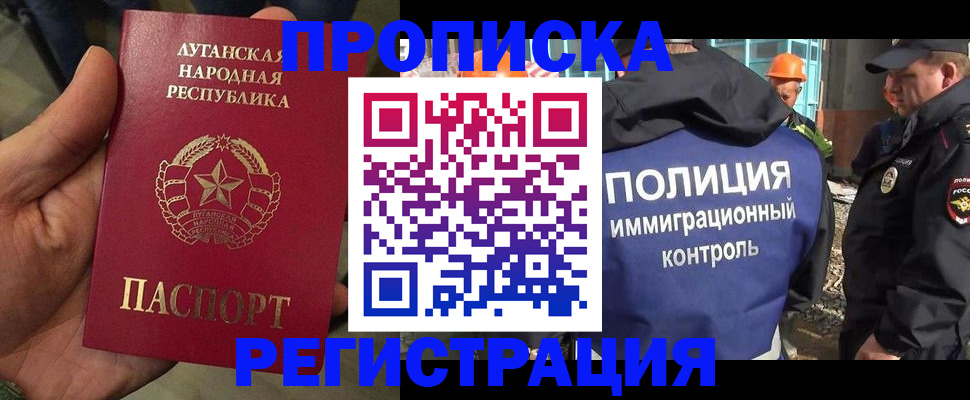 прописка поиск в Шлиссельбурге